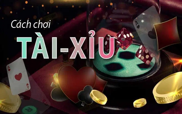 Cách chơi tài xỉu 