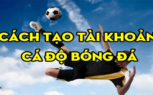 Hướng dẫn sử dụng tài khoản cá cược bóng đá tại các nhà cái